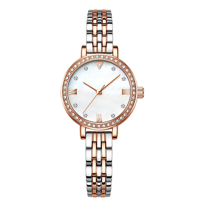 Caisse de luxe d'alliage de S Diamond Watches Stainless Steel Strap de Sapphire Glass Women '