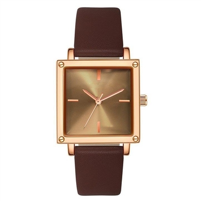 Cadran en cuir/de Mesh Strap Women Quartz Wrist montre 30M Life Waterproof Square non d'échelle