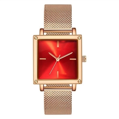 Cadran en cuir/de Mesh Strap Women Quartz Wrist montre 30M Life Waterproof Square non d'échelle