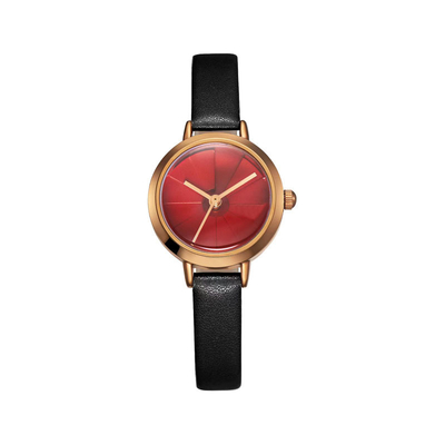 Les femmes antichoc de quartz de Shell Casual Automatic Watch Waterproof observent