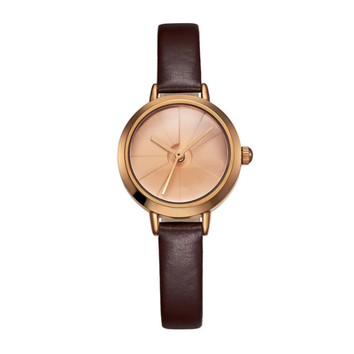Les femmes antichoc de quartz de Shell Casual Automatic Watch Waterproof observent