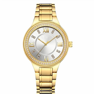 Courroie de Diamond Set Steel Belt 20cm de montre-bracelet de quartz de femmes de cas d'Aolly