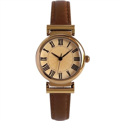 Verre minéral 30m de montres-bracelet de Roman Numerals Belt Quartz Battery imperméables
